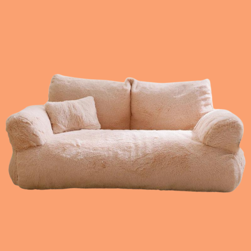 Pitty - Couch